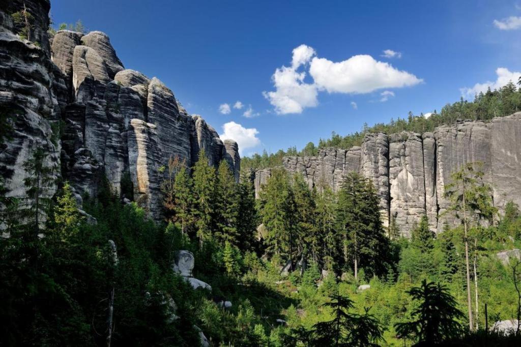 Penzion U Pesiku Червены-Костелец Экстерьер фото